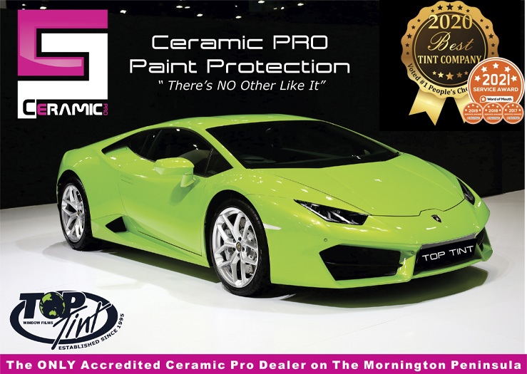 Vehicle Pain Protection